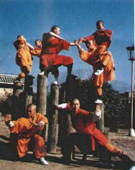 shaolin.JPG (20423 bytes)